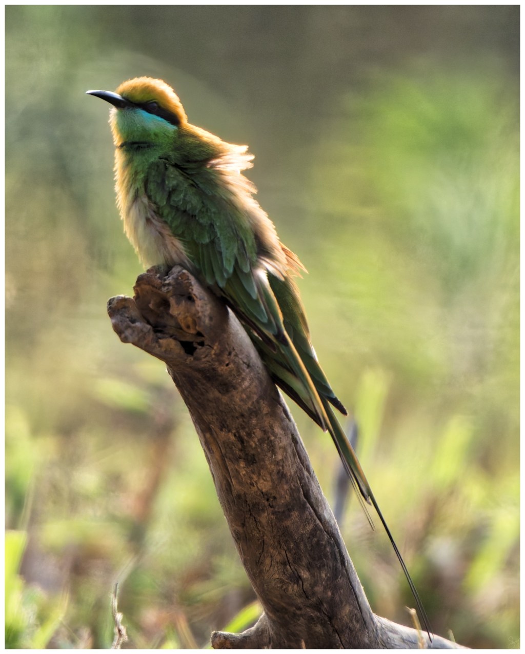 Sometimes a good shot makes you feel&nbsp;good.