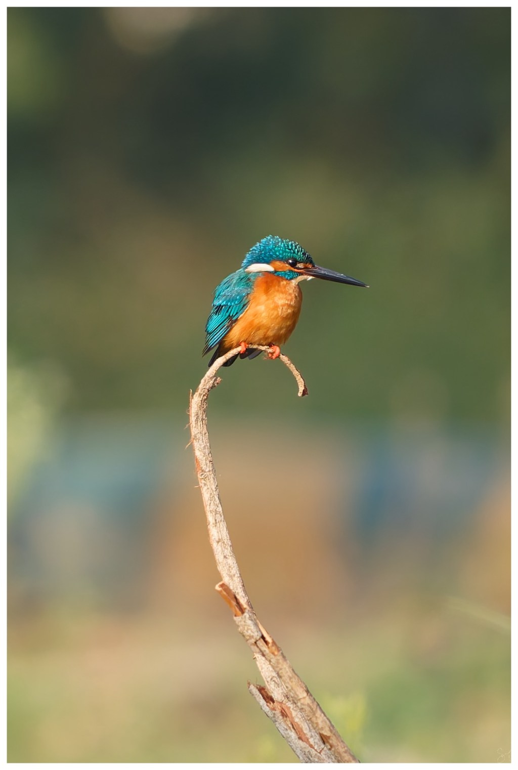 First  KF for the&nbsp;year,