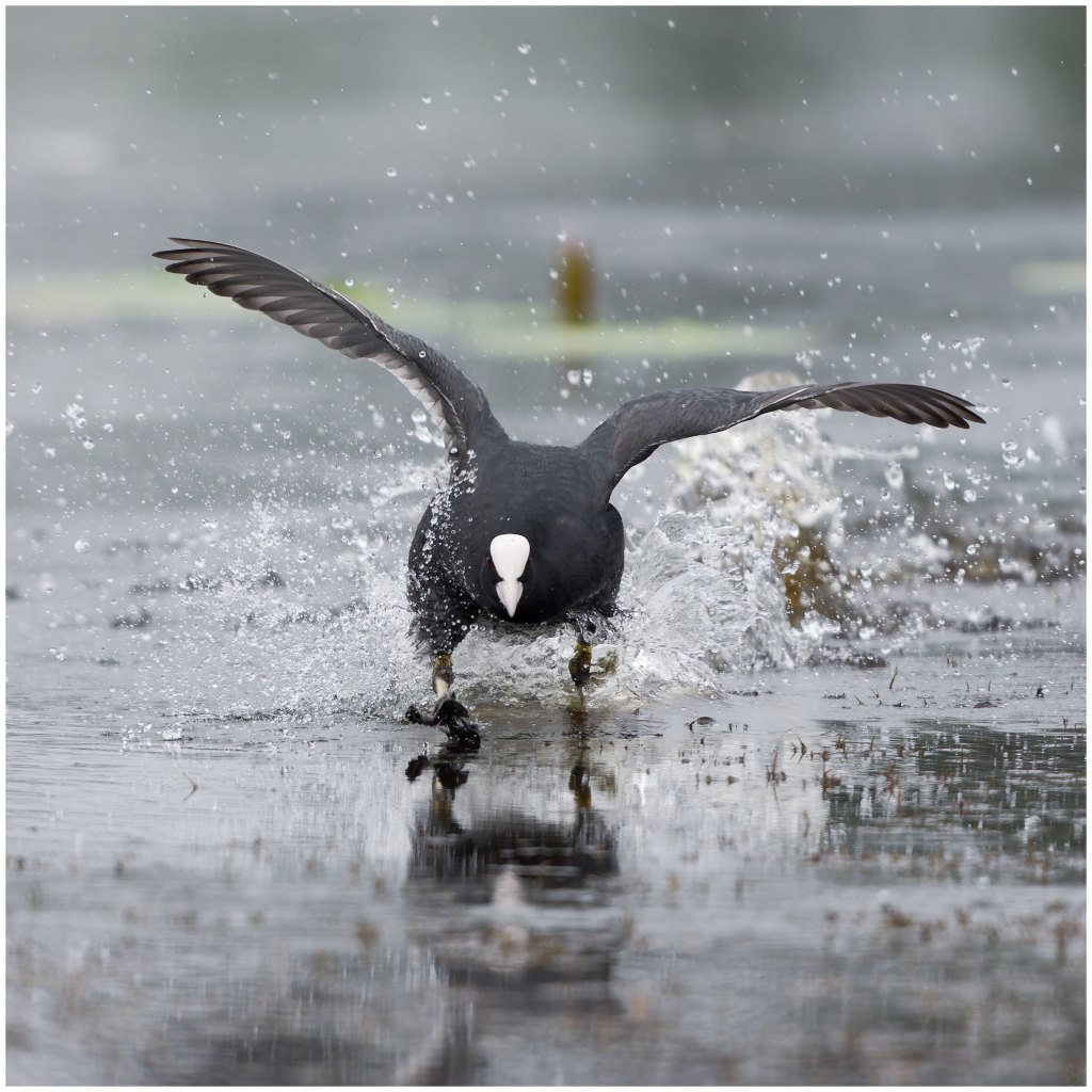 Lets try running&nbsp;…