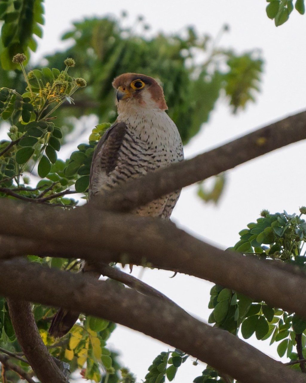 Can’t get enough of this&nbsp;one