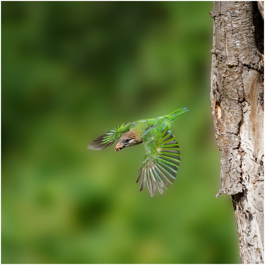 A takeoff  sequence