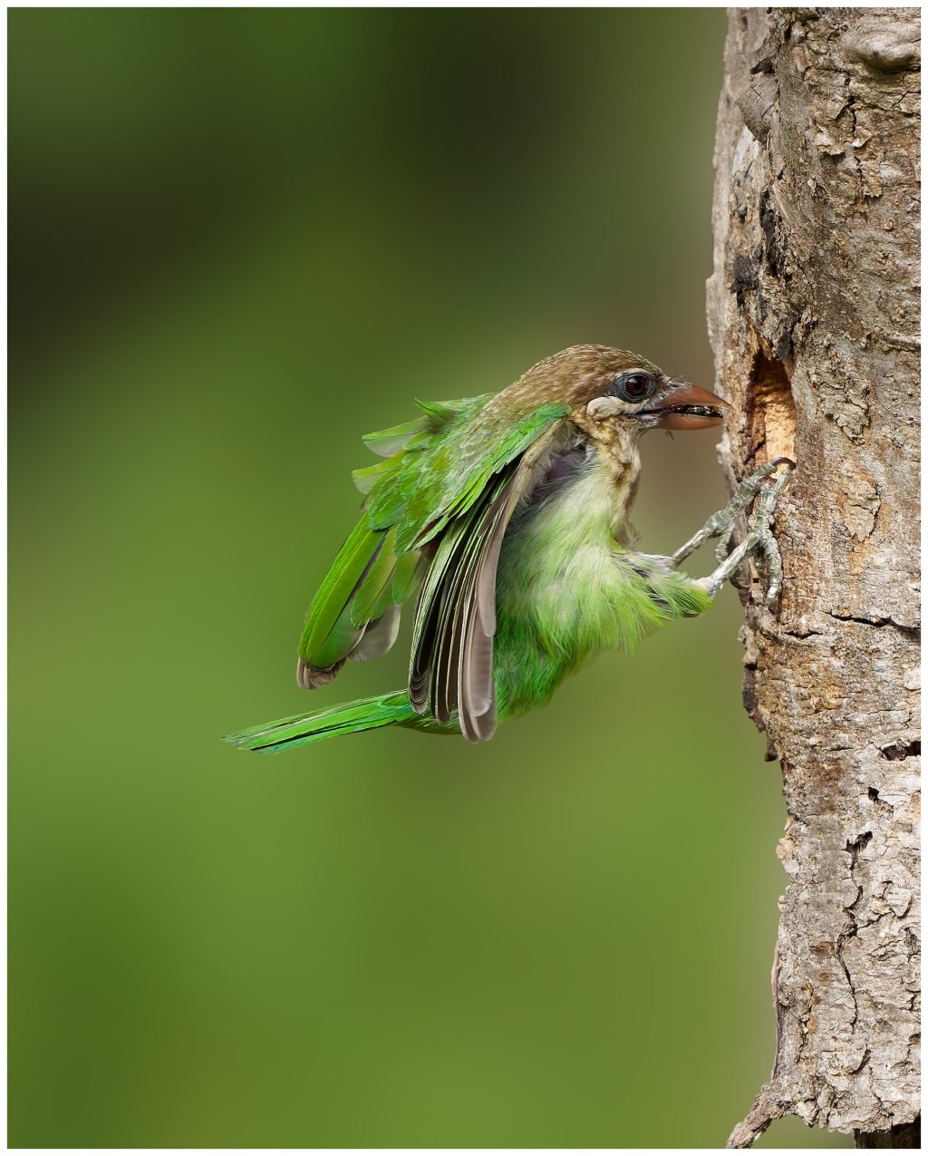 A landing sequence.